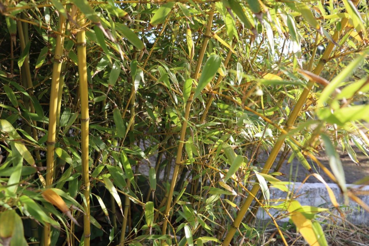 فيلا Quinta Do Carvalheiro Sobral de Monte Agraço المظهر الخارجي الصورة